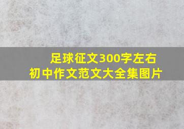 足球征文300字左右初中作文范文大全集图片