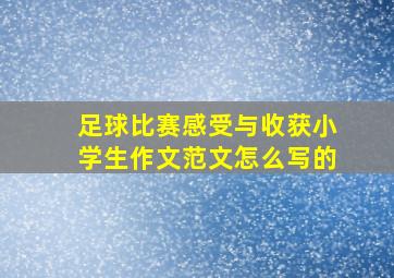 足球比赛感受与收获小学生作文范文怎么写的