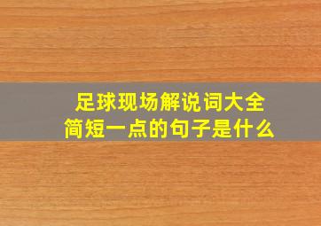 足球现场解说词大全简短一点的句子是什么