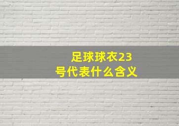 足球球衣23号代表什么含义