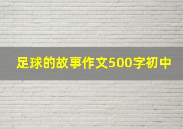 足球的故事作文500字初中