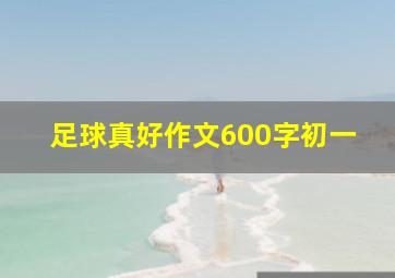 足球真好作文600字初一