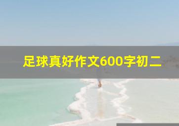 足球真好作文600字初二