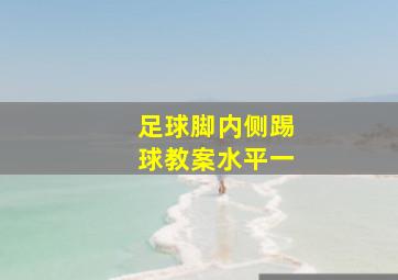 足球脚内侧踢球教案水平一