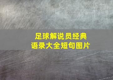 足球解说员经典语录大全短句图片