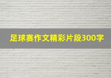 足球赛作文精彩片段300字