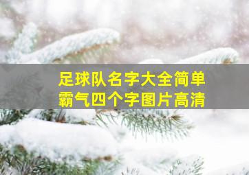 足球队名字大全简单霸气四个字图片高清