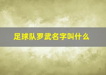 足球队罗武名字叫什么