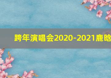 跨年演唱会2020-2021鹿晗