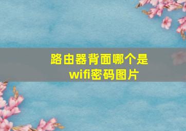 路由器背面哪个是wifi密码图片