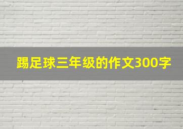 踢足球三年级的作文300字