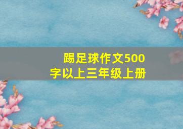 踢足球作文500字以上三年级上册