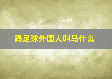 踢足球外国人叫马什么