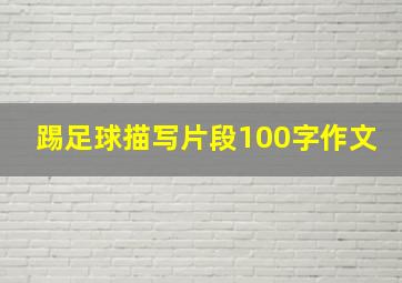 踢足球描写片段100字作文