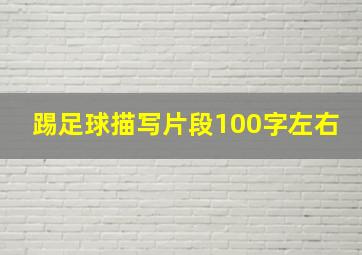 踢足球描写片段100字左右