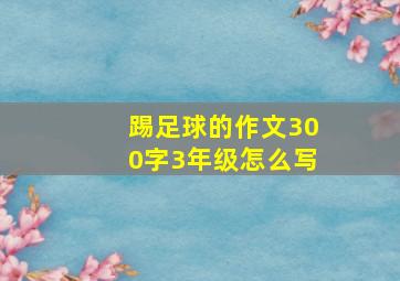 踢足球的作文300字3年级怎么写