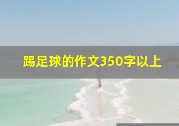 踢足球的作文350字以上