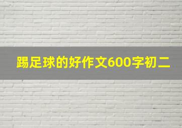 踢足球的好作文600字初二