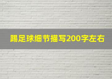 踢足球细节描写200字左右