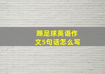 踢足球英语作文5句话怎么写