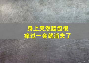 身上突然起包很痒过一会就消失了