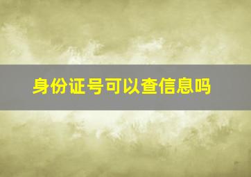 身份证号可以查信息吗