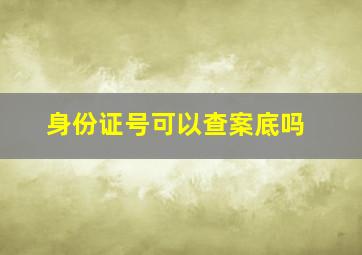 身份证号可以查案底吗