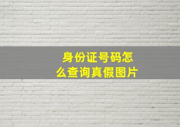 身份证号码怎么查询真假图片