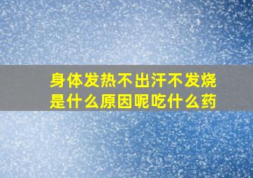 身体发热不出汗不发烧是什么原因呢吃什么药