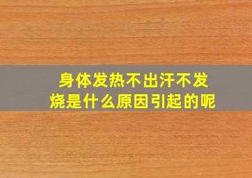 身体发热不出汗不发烧是什么原因引起的呢