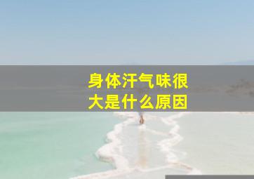 身体汗气味很大是什么原因