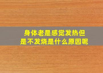 身体老是感觉发热但是不发烧是什么原因呢