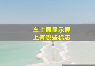 车上面显示屏上有哪些标志