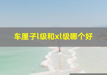 车厘子l级和xl级哪个好