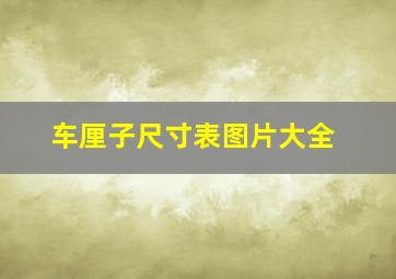 车厘子尺寸表图片大全