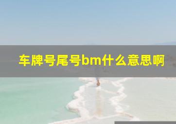 车牌号尾号bm什么意思啊