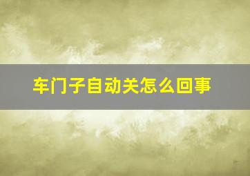 车门子自动关怎么回事