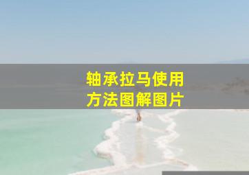 轴承拉马使用方法图解图片