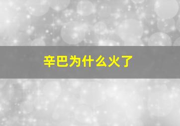 辛巴为什么火了