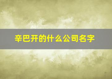 辛巴开的什么公司名字