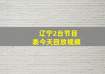 辽宁2台节目表今天回放视频