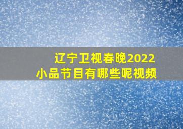 辽宁卫视春晚2022小品节目有哪些呢视频