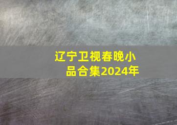 辽宁卫视春晚小品合集2024年