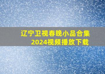 辽宁卫视春晚小品合集2024视频播放下载