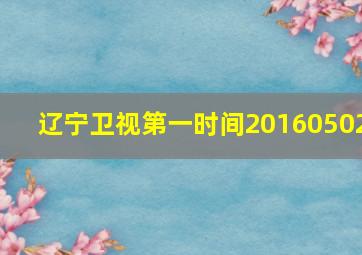 辽宁卫视第一时间20160502