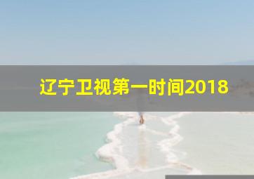 辽宁卫视第一时间2018