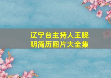 辽宁台主持人王晓明简历图片大全集