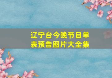 辽宁台今晚节目单表预告图片大全集