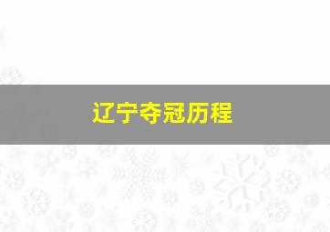 辽宁夺冠历程