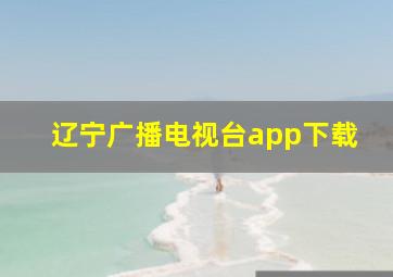 辽宁广播电视台app下载